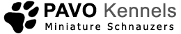 PAVO Kennels
