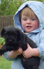 I love Pets
